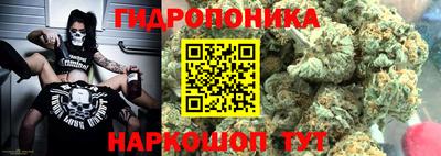 молекула духа Обнинск