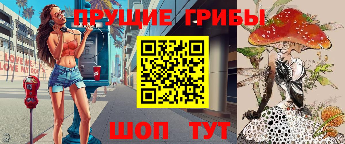 Галлюциногенные грибы Psilocybe Тимашёвск